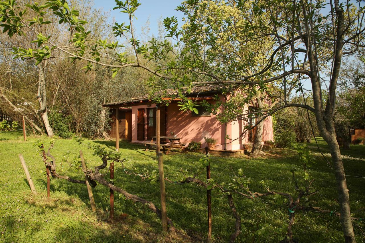 Casale Vigna Carbona Guest House Gavorrano Exterior photo