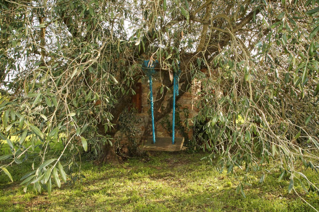 Casale Vigna Carbona Guest House Gavorrano Exterior photo