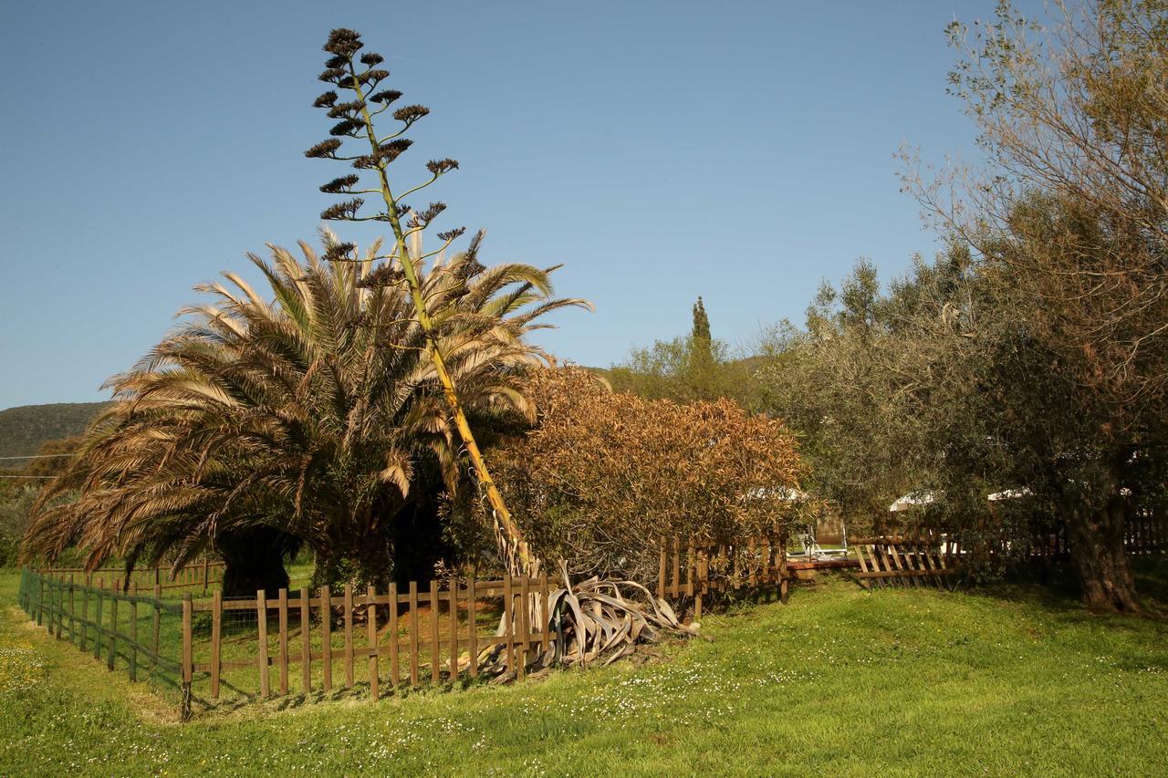 Casale Vigna Carbona Guest House Gavorrano Exterior photo